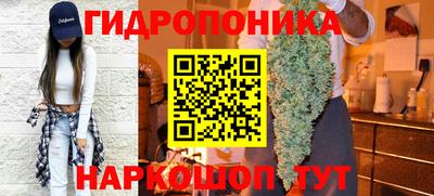 бошки Донецк
