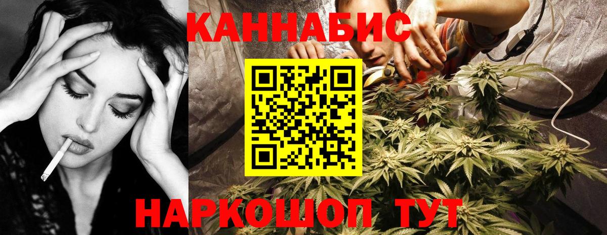 Бошки Шишки планчик Мирный